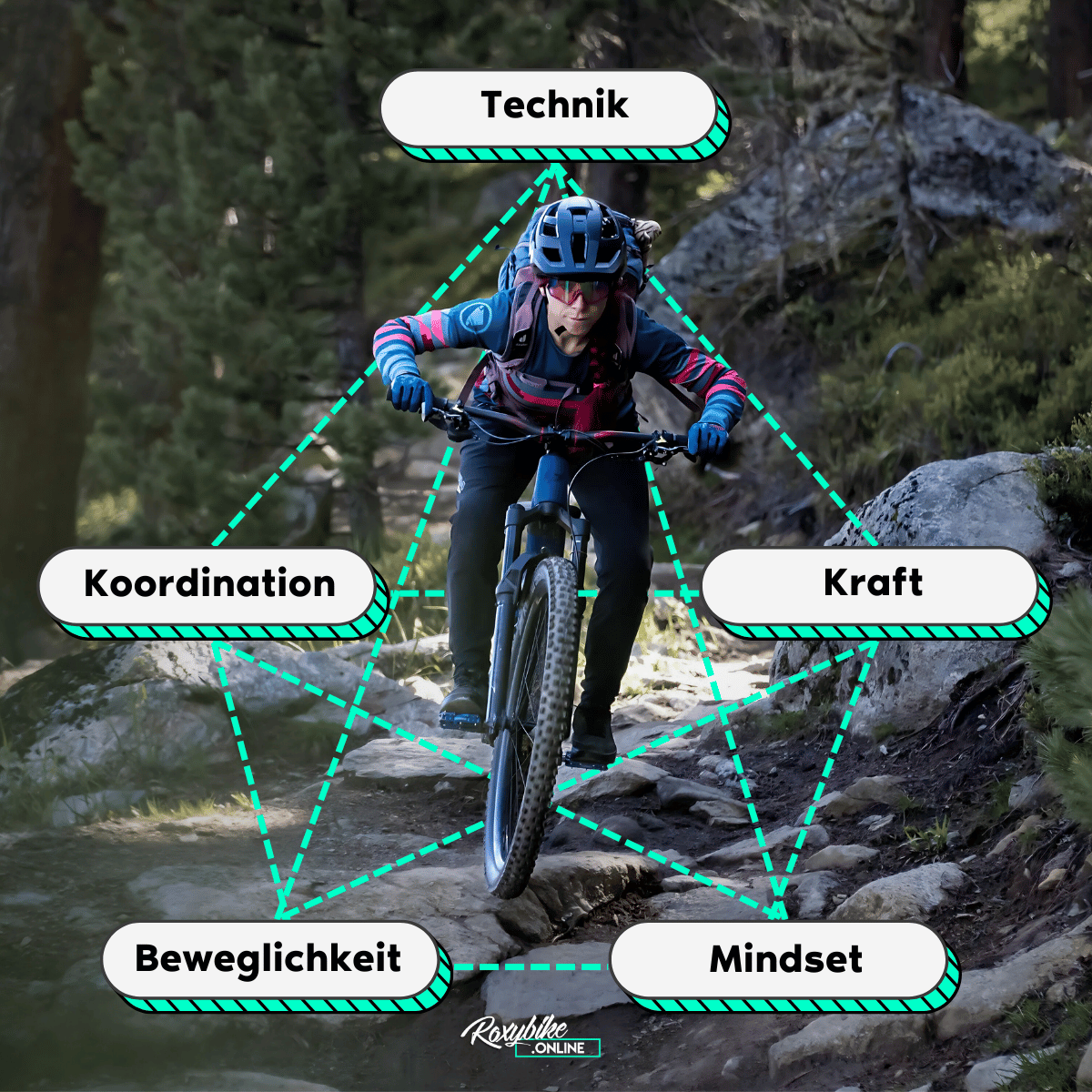 Roxybike Mountainbike Training - Wir vereinen alle Bereiche in diesem Programm